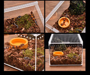 Boîte acrylique transparente pour animaux de compagnie Reptile Boîte d'alimentation pour lézard et tortue, boîte magnétique coulissante pour animaux de compagnie en acrylique - Product Image 6