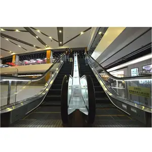 Escalator Price 0.5m/s Speed Elevator Outdoor Escalator And Moving Walks For Factory Price