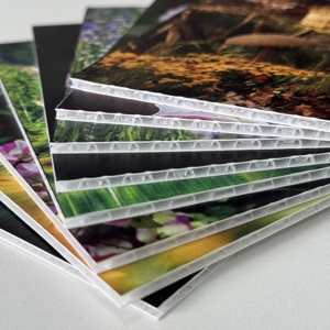 Nouveau produit chaud panneau de nid d'abeille de polypropylène feuille de plastique ondulée garde-<span class=keywords><strong>bulle</strong></span> légère pour la coupe de revêtement de <span class=keywords><strong>sol</strong></span> - Product Image 5