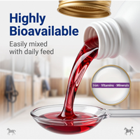 Suplemen Cair Vitamin-Besi-Mineral OEM Horse Health Red Cell 1 Galon Mendukung Daya Tahan, Kesehatan Darah, dan Fungsi Imun