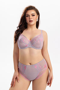 Venda quente Bordar Lace Anti-Flacidez Malha Sexy Sutiã Das Mulheres Set Alças De Ombro Ajustáveis Plus Size Lingerie Sexy - Product Image 5