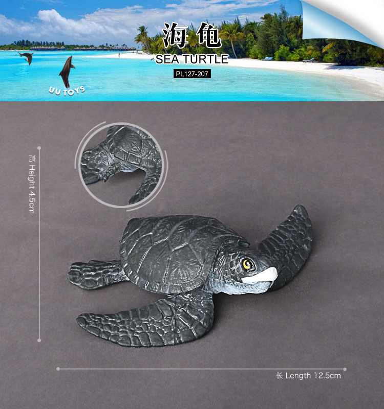 207 Tortue de mer