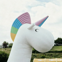 Toboggan aquatique gonflable géant licorne pour enfants, équipement de jeu aquatique, sports nautiques à vendre