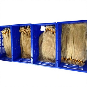 Paquetes de Cabello Rubio 613 al por Mayor - Product Image 3