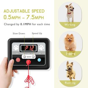 Caminadora Portátil para Perros JK360-2, Máquina de Correr Eléctrica Compacta para Ejercicio Canino en Interiores con Diseño de Motor Silencioso - Product Image 4