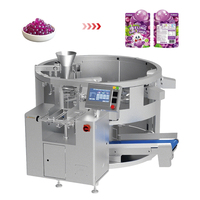 Machine d'emballage rotative automatique GDS210B-10 multifonction à 10 stations pour remplissage de gobelets, granulés et sachets de forme spéciale, pour bonbons et sachets préformés