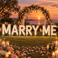 Lettres lumineuses personnalisées pour mariage, décoration de mariage, lettres LED de 4 pieds, panneau LED Mr et Mme