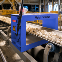 Détecteur de métaux industriel robuste pour systèmes de convoyage minier, IP54, haute précision, inspection des minerais, personnalisable