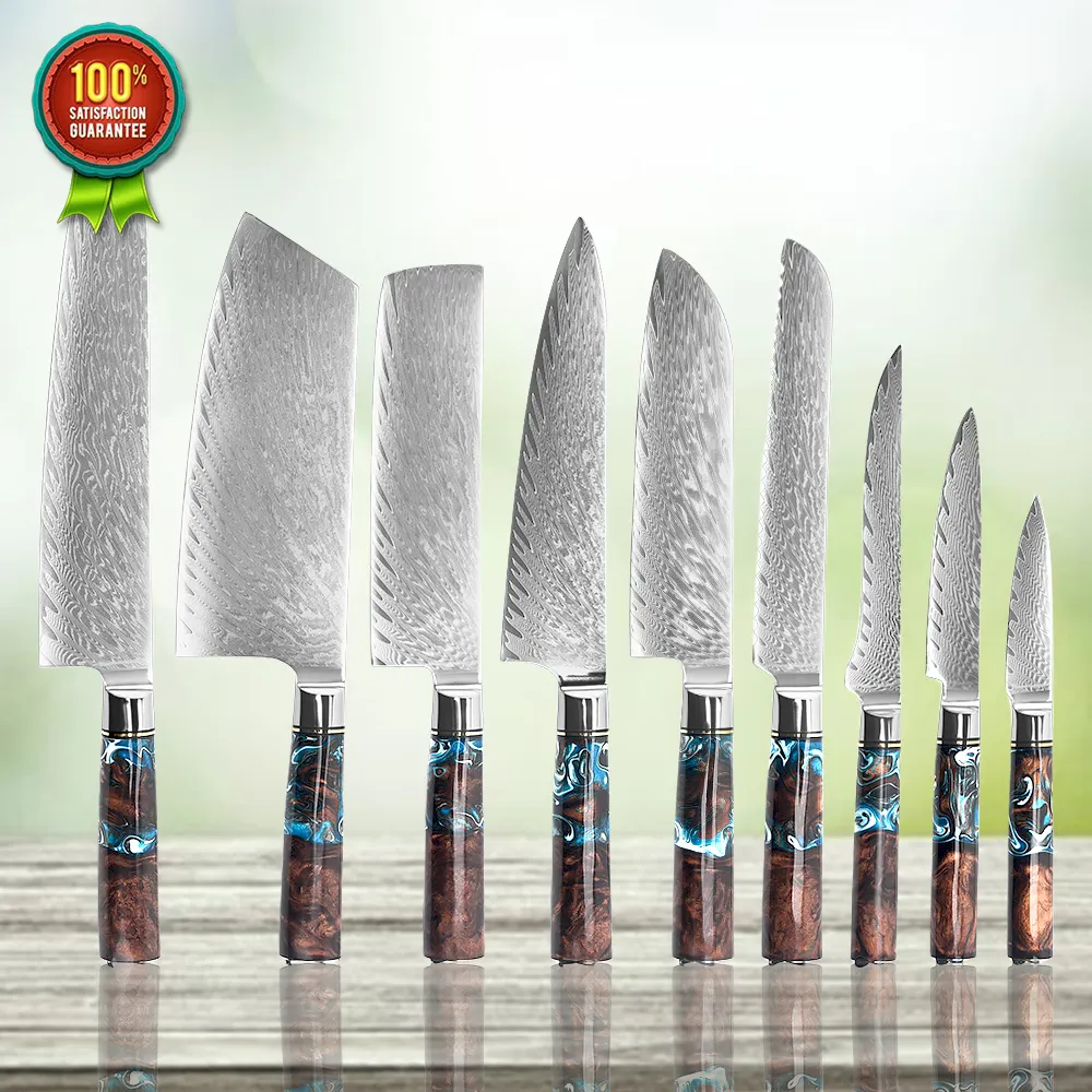 जापानी vg10 लक्जरी राल लकड़ी का हैंडल 9pcs daile स्टील रसोई चाकू 67 परतों के लिए डेमइइल्स रेस्तरां शेफ चाकू सेट