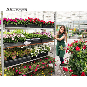Invernadero duradero de metal y acero, <span class=keywords><strong>carrito</strong></span> de transporte de flores soldadas, cabriolet - Product Image 5