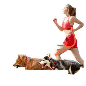Laisse longue multifonctionnelle réglable pour <span class=keywords><strong>chien</strong></span>, laisse mains libres pour <span class=keywords><strong>chien</strong></span>, marche et course à pied - Product Image 4