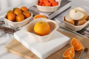 Bandeja Desechable de Pulpa de Bambú para Sushi, Papas Fritas y Frutas/Verduras de Picnic, Ecológica, Degradable, con Revestimiento de Esponja - Product Image 5