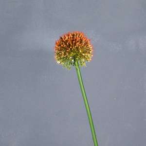 Palla di cipolla artificiale simulazione fiore artificiale sala matrimonio tavolo decorativo vera come fiori per la casa e gli eventi arredamento - Product Image 6