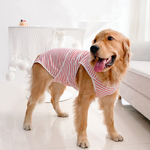 Pantaloni Fisiologici Grandi per Cani Femmina, Previene il Costritto e Pantaloni Mestruali Igienici Post-Sterilizzazione - Product Image 1