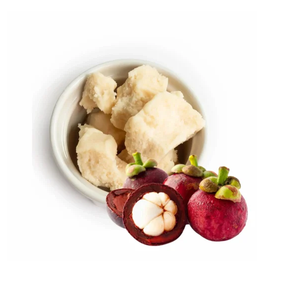 Beurre de Kokum non raffiné, matière première cosmétique naturelle pour la formule de soins de la peau, beurre corporel, crème pour le visage, baume pour les lèvres, masque capillaire, lotion - Product Image 2