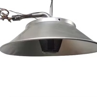 Fabricant chinois de nouveaux chauffages à gaz en aluminium haute efficacité et haute puissance, couveuse à gaz pour poulets destinée aux fermes avicoles africaines