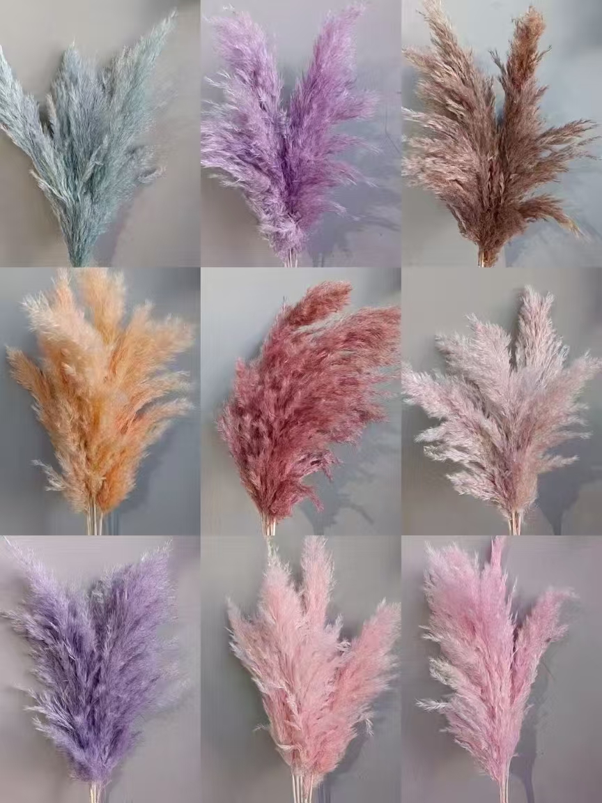 color