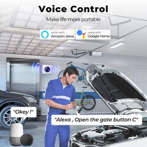 Interruptor táctil inteligente WiFi Tuya de 10A DC 9-30V con control remoto para abridor de puerta de garaje de villa al aire libre - Product Image 2