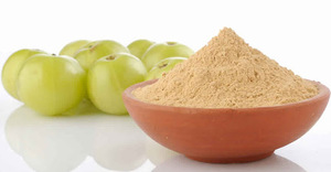 Premium Processed Amla <b>Extract</b> Powder Offering Excellent Compatibility for Powder Blends Nutritional Mixes Herbal Formulations - Product Image 3