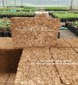 Sustrato de Fibra de Coco/Cocochip Block proporciona una estructura ideal y un control fiable del agua para cultivos - Product Image 6