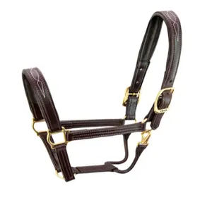 Horse riding nylon horse halter with snap clip and soft padding