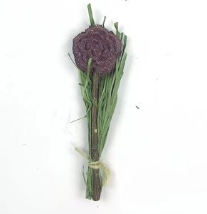 Suministros para mascotas de alta calidad, golosinas naturales para conejos, comida seca para hámster, cobayas, Chinchillas, juguete para masticar conejo saludable - Product Image 5