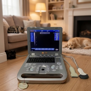 Échographe vétérinaire portable 15 pouces, scanner à ultrasons noir et blanc pour animaux, basé sur PC portable - Product Image 1