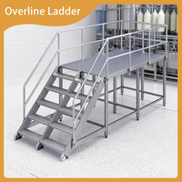 Plataforma Modular de Aluminio para Mantenimiento en Línea de Producción con Barandillas de Seguridad para la Industria Alimentaria