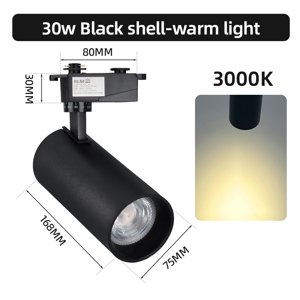 30W Noir -3000K