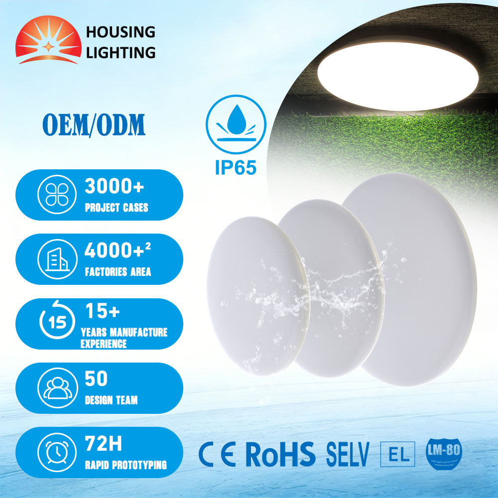 Custom Lumen Waterproof ultra Thin Ceiling Light 300mm Surface Ceiling Lamp with Sensor Emergency Battery