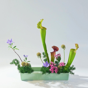 Jarrón Rectangular Moderno de Cerámica Ecológica <span class=keywords><strong>Ohara</strong></span> School of Ikebana, Maceta, Plato para Arreglos Florales, Recipientes para Uso Doméstico - Product Image 2