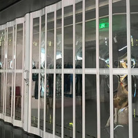 Porte pliante en polycarbonate cristallin, couleur et taille personnalisées, haute qualité, finition moderne, ouverture latérale électrique pour garage et cuisine
