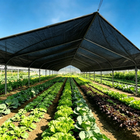 Zwarte HDPE geweven schaduwdoek met UV-bescherming, milieuvriendelijk, heavy-duty, winddicht & anti-veroudering voor de landbouw