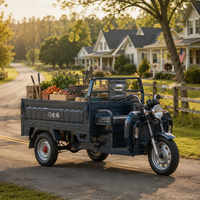 Tricycle utilitaire 100% électrique pour le transport rural, les fournitures agricoles, la livraison de marchandises et l'utilisation quotidienne