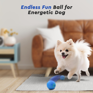Pelota de Juguete para Perros con Salto Aleatorio - Pelota Interactiva Resistente a Mordidas para Cachorros, para Entrenamiento de Buscar, Juego en Interiores y Exteriores - Product Image 2