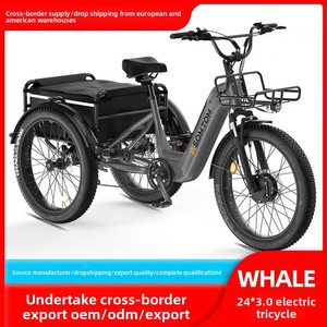 Vélo <span class=keywords><strong>cargo</strong></span> électrique polyvalent à cadre bas 500W 48V avec batterie au lithium 24 pouces - Pour usage familial et professionnel - Product Image 3