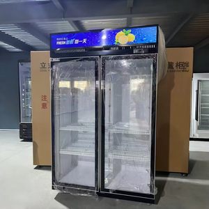 <span class=keywords><strong>Vitrine</strong></span> réfrigérée commerciale pour boissons avec logo personnalisé, éclairage LED, refroidissement direct par air, sans givre - Product Image 6