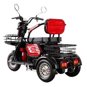 Triciclo Eléctrico para Pasajeros, Motocicleta Todoterreno, Moto de Motocross para Adultos, Motorizada, Edición Alta, 600W 48V, Nuevo Estilo, con Pedales - Product Image 4