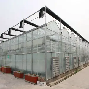 Glass greenhouse complete kit for growing crop