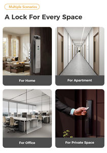 מחיר נמוך אלקטרוני דלת מנעול outuya tt app שליטה, טביעת אצבע ביומטרית & קוד גישה מנעול דלת חכם - Product Image 6