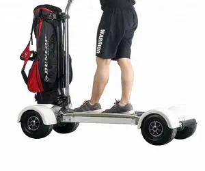 Toptan kaykay 1000-Toptan Longboard Golf kurulu katlanabilir elektrikli Scooter 2000W açık kaykay