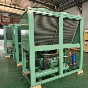 Air Cooled All in One Condensing Unit with Bitzer Piston Compressor for Vegetable Fruit Cold Storage