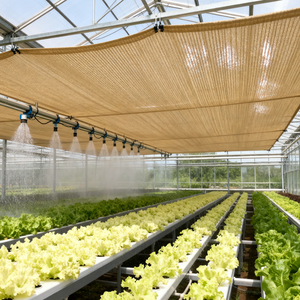 Bán Buôn Nông Nghiệp Nhà Kính Bóng Râm Net 40% 80% Bảo Hiểm Hình Chữ Nhật Hình Dạng Dệt HDPE Chất Liệu - Product Image 1