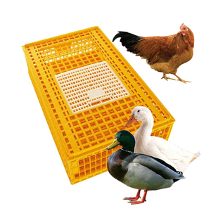Jaulas Plegables para Transporte de Pollos, Acero Galvanizado en Caliente, para Uso en Granjas Avícolas, Venta Caliente - Product Image 1