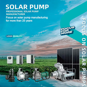Pompes centrifuges de surface portables de 2 pouces 110V DC à énergie solaire pour l'irrigation agricole en Chine - Product Image 4