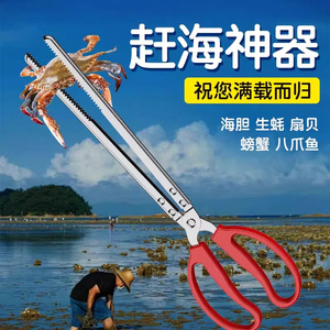 Pince à crabes en acier inoxydable, outil de pêche en plein air à longue portée pour attraper les crabes et les homards, utilisation sur la plage - Product Image 3