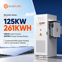 Armoire de stockage d'énergie modulaire 261 kWh LiFePO4 avec onduleur hybride 125 kW et refroidissement liquide pour projets solaires évolutifs