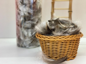 Plumes de canard grises ultra-pratiques de 2 à 4 cm, vente en gros d'usine <span class=keywords><strong>Linda</strong></span> Down - Product Image 2