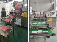 Machine à crêpes motorisée de qualité professionnelle pour la fabrication de rouleaux d'œufs et de lumpias, pour usage domestique ou commercial, machine à rouleaux de printemps