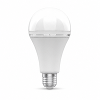 Ampoule LED d'urgence à batterie rechargeable 8,8W 12W 20W CRI 90 E26 E27 B22 Lampe torche pour panne de courant à domicile
